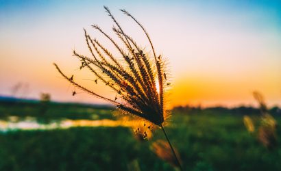 gel-one-cikan-gorsel-efdalog