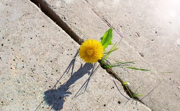 biliyor-musun-one-cikan-gorsel-efdalog